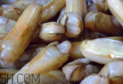 蟶子里面的黑色能吃嗎？蟶子為什么一撒鹽就出來？