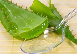 自然樂園蘆薈膠孕婦可以用嗎？自然樂園蘆薈膠使用心得
