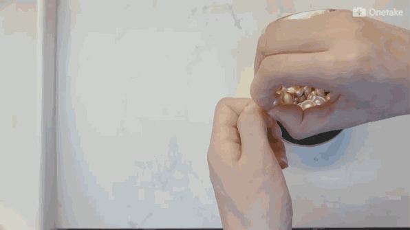 雅頓金膠怎么打開？雅頓金膠膠囊怎么扭開？