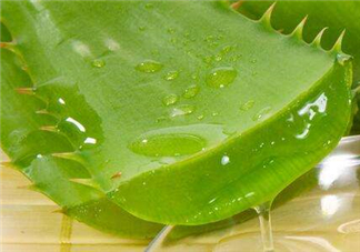 自然樂園蘆薈膠怎么用？自然樂園蘆薈膠使用方法