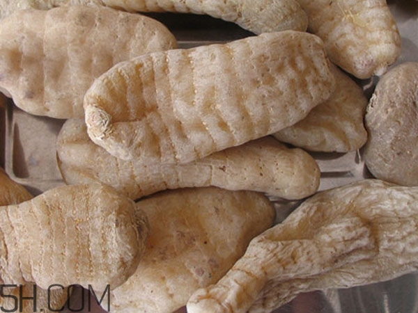 天麻能泡水喝嗎？吃天麻有什么作用？