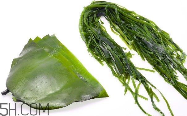 海帶的做法有哪些？怎么挑選優(yōu)質(zhì)海帶？