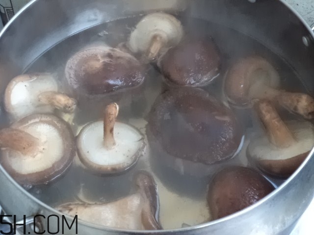 香菇和白蘿卜可以一起吃嗎？香菇和白蘿卜一起吃有什么好處？