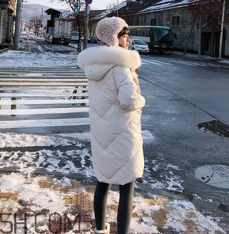 鵝絨羽絨服大概多少錢？白鵝絨羽絨服多少錢一件？