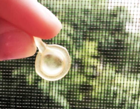 雅頓眼膠和面膠區(qū)別 雅頓眼膠和面膠可以一起用嗎？