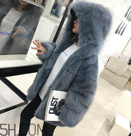 獺兔毛皮草一千元貴嗎？獺兔毛皮草2018年價格