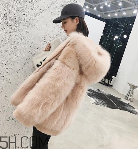 獺兔毛和兔毛哪個好？獺兔毛和兔毛的區(qū)別