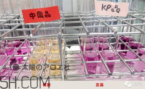 太陽社玻尿酸孕婦能用嗎？怎樣辯別真假太陽社玻尿酸？