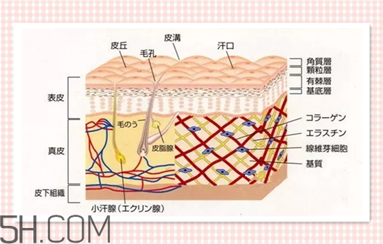 水光針可以祛斑嗎？涂抹式水光針的效果好嗎？