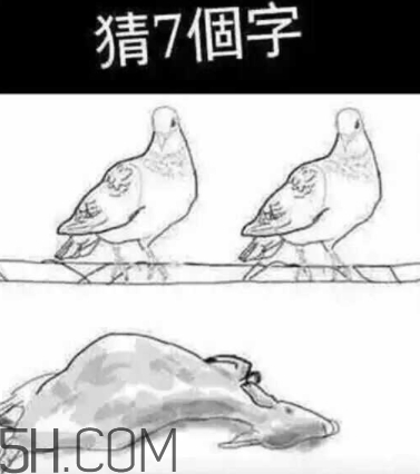 52422696代表什么意思？女生發(fā)52422696暗示什么
