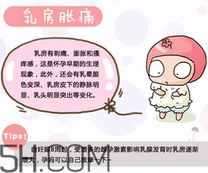 懷孕了應(yīng)該如何調(diào)理？懷孕了如何根據(jù)體質(zhì)調(diào)養(yǎng)？