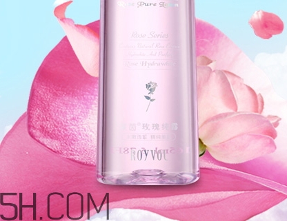 royvol萊茵是什么牌子？royvol萊茵是哪個國家的