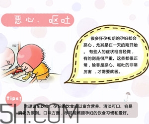 懷孕了應(yīng)該如何調(diào)理？懷孕了如何根據(jù)體質(zhì)調(diào)養(yǎng)？