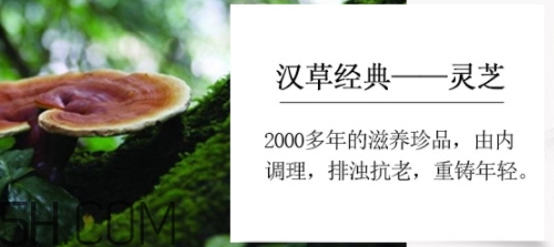 羽西小鮮瓶安瓶怎么用？羽西小鮮瓶安瓶怎么樣