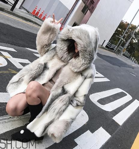十字貂和水貂哪個(gè)好？十字貂和水貂哪個(gè)貴？