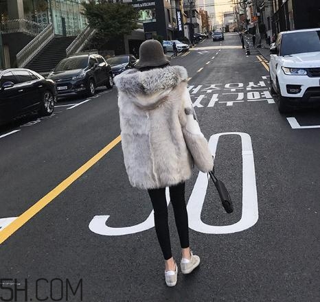 十字貂和水貂哪個(gè)好？十字貂和水貂哪個(gè)貴？