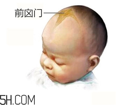 寶寶囟門是怎樣的一個部位？寶寶的囟門要怎樣保護比較好？