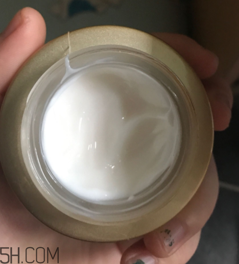詩婷露雅蝸牛面霜適合秋冬嗎？適合油皮嗎？