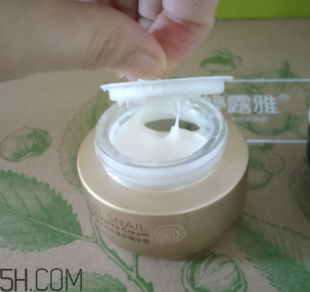 詩婷露雅蝸牛面霜適合秋冬嗎？適合油皮嗎？