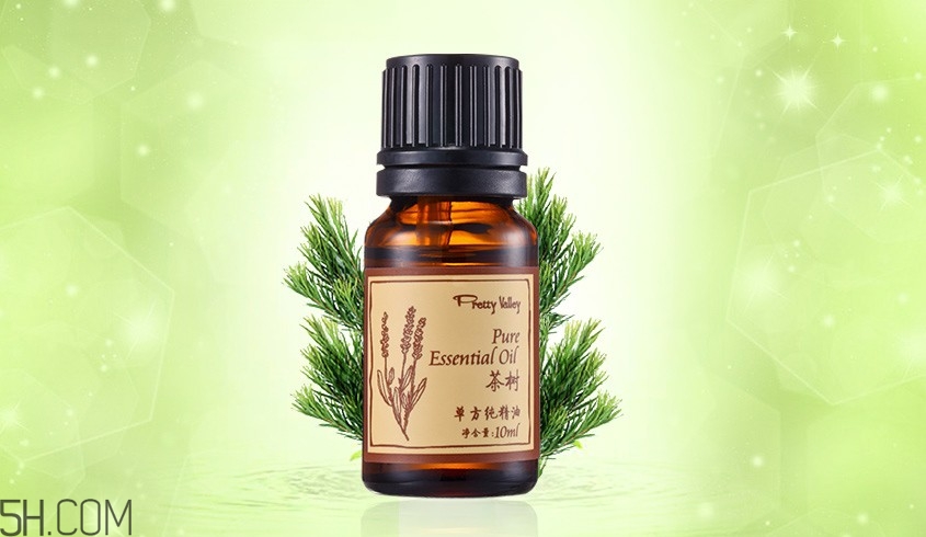 茶樹精油可以直接涂在臉上嗎？茶樹精油的功效與作用？