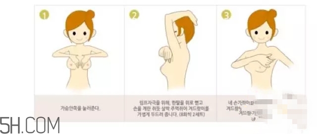 常見(jiàn)的豐胸湯有哪些？女人豐胸湯有哪些？