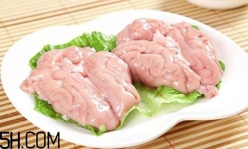 吃豬腦的壞處有哪些？吃豬腦的好處有哪些？