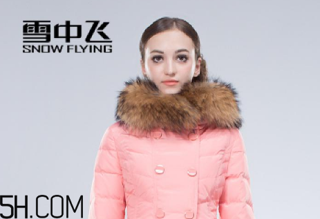 最貴的羽絨服什么價格？羽絨服什么牌子的好？
