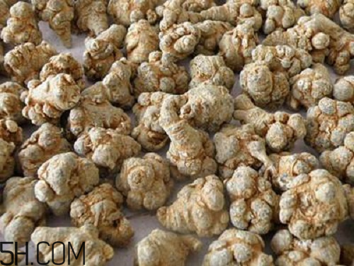 三七粉苦的好還是不苦的好？三七粉越苦越好嗎？