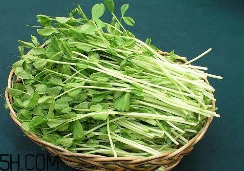 女性吃什么能瘦臉？能瘦臉的食物有哪些？