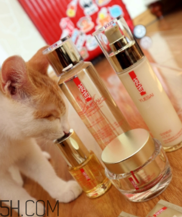 羽西蟲草新肌水有什么功效？適合什么膚質(zhì)？