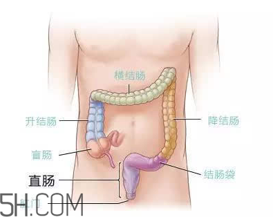 宿便有什么危害？如何清除宿便？