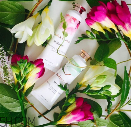 linden leaves香氛護(hù)手霜好用嗎？laura ashley護(hù)手霜好用嗎？
