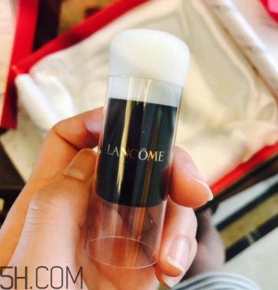 蘭蔻菁純氣墊粉底液110號色適合黃皮嗎？真人試色