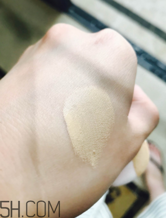 蘭蔻菁純氣墊粉底液110號色適合黃皮嗎？真人試色