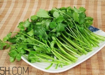 香菜根煮水怎么煮？香菜根煮水喝幾天見效？