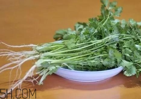 香菜根煮水能減肥嗎？香菜根煮水能天天喝嗎？