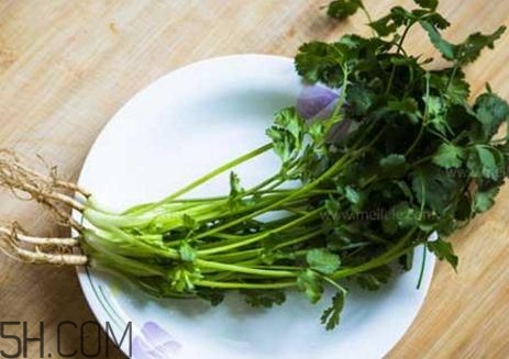 香菜根煮水能減肥嗎？香菜根煮水能天天喝嗎？