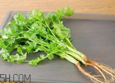 香菜根煮水能美白嗎？香菜根煮水能祛斑嗎？