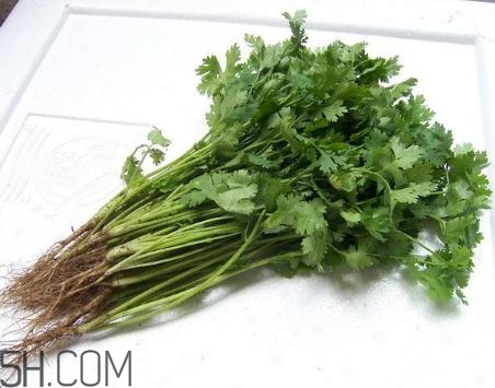 香菜根煮水能美白嗎？香菜根煮水能祛斑嗎？