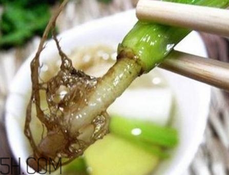 香菜根煮水能美白嗎？香菜根煮水能祛斑嗎？