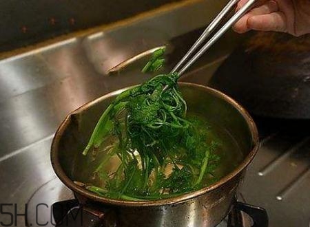 香菜根煮水能退燒嗎？香菜根煮水能治咳嗽嗎？