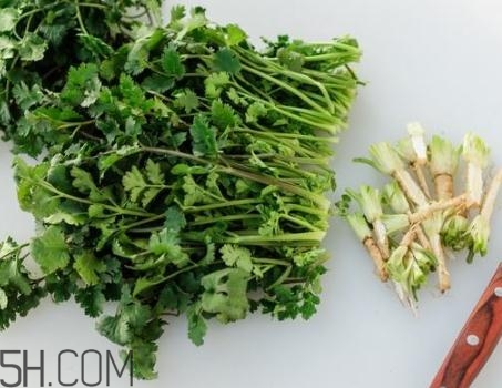 香菜根煮水能退燒嗎？香菜根煮水能治咳嗽嗎？
