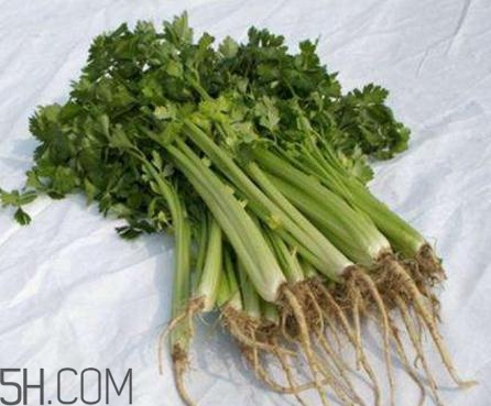 香菜根煮水能退燒嗎？香菜根煮水能治咳嗽嗎？