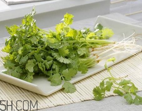 香菜根煮水能治濕疹嗎？香菜根煮水孕婦能喝嗎？