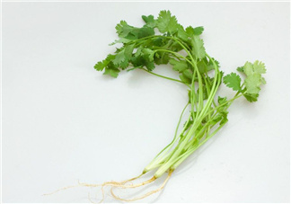 香菜根煮水能治濕疹嗎？香菜根煮水孕婦能喝嗎？