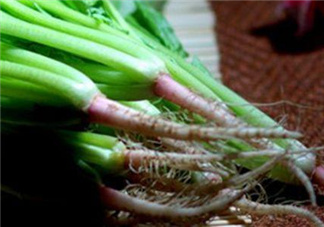 香菜根煮水能美白嗎？香菜根煮水能祛斑嗎？
