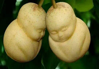 女人吃人參果有哪些好處？人參果的營養(yǎng)價值是什么？