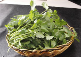 香菜根煮水能減肥嗎？香菜根煮水能天天喝嗎？