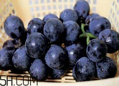 吃黑加侖對(duì)眼睛有什么好處？吃黑加侖要注意什么？
