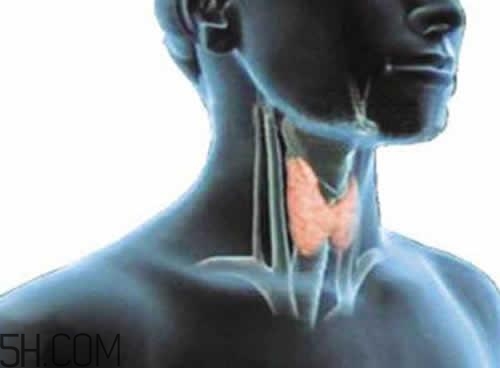 甲狀腺腫大和甲亢的區(qū)別有哪些？甲狀腺腫大適合吃什么食物？